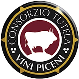 vinipiceni2